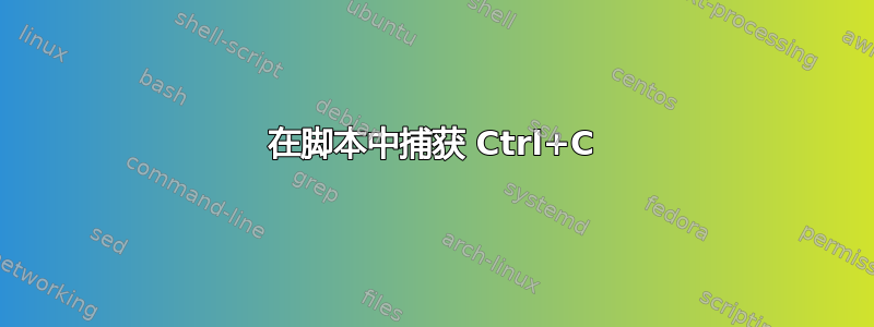 在脚本中捕获 Ctrl+C