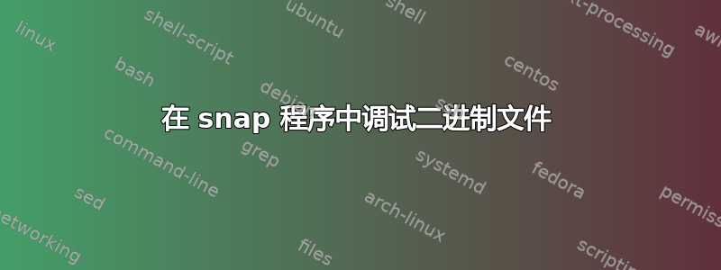 在 snap 程序中调试二进制文件