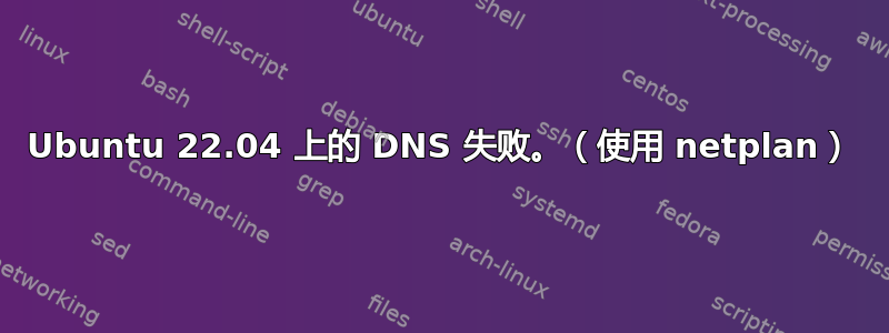 Ubuntu 22.04 上的 DNS 失败。（使用 netplan）