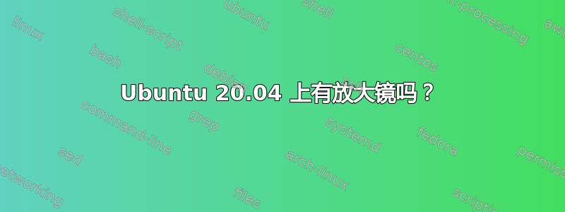 Ubuntu 20.04 上有放大镜吗？