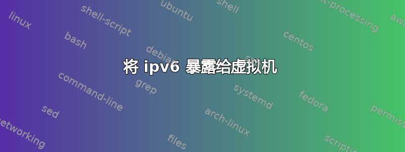 将 ipv6 暴露给虚拟机