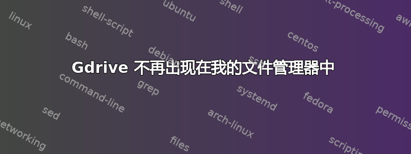 Gdrive 不再出现在我的文件管理器中