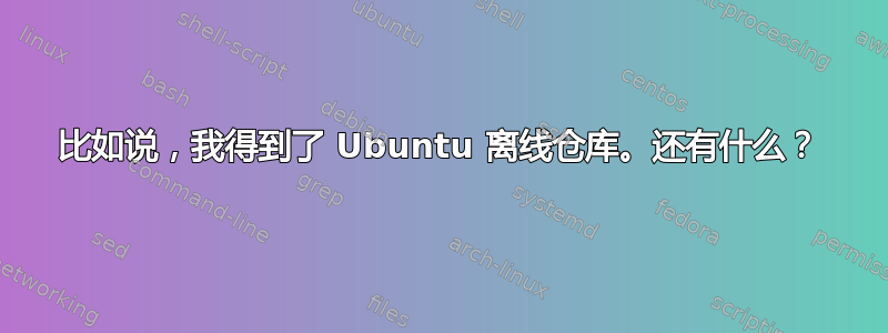 比如说，我得到了 Ubuntu 离线仓库。还有什么？