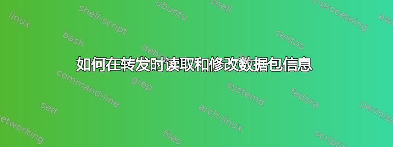 如何在转发时读取和修改数据包信息