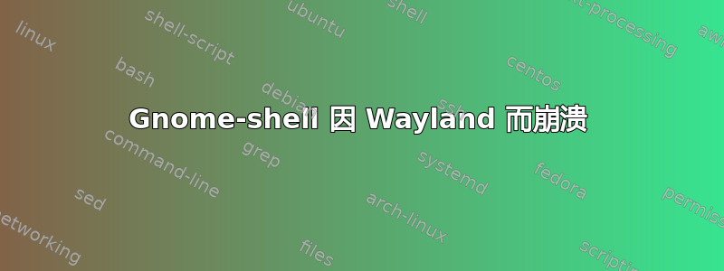 Gnome-shell 因 Wayland 而崩溃