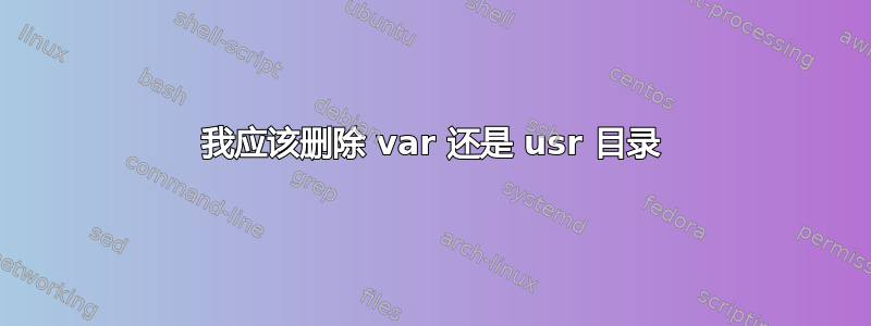 我应该删除 var 还是 usr 目录