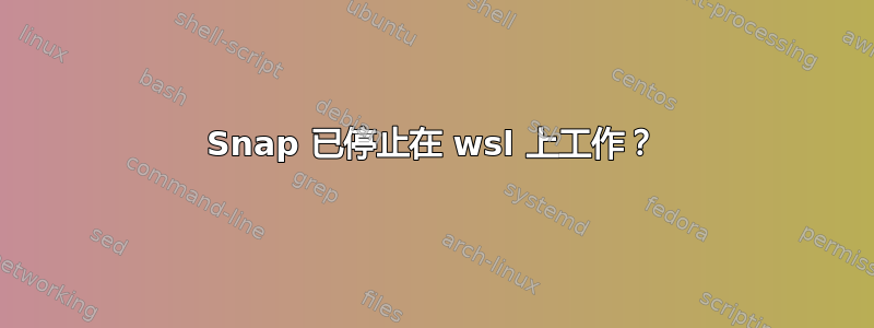 Snap 已停止在 wsl 上工作？