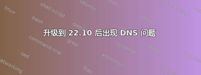 升级到 22.10 后出现 DNS 问题