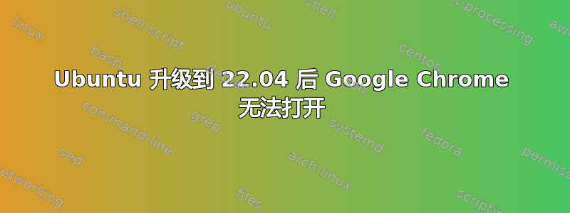 Ubuntu 升级到 22.04 后 Google Chrome 无法打开