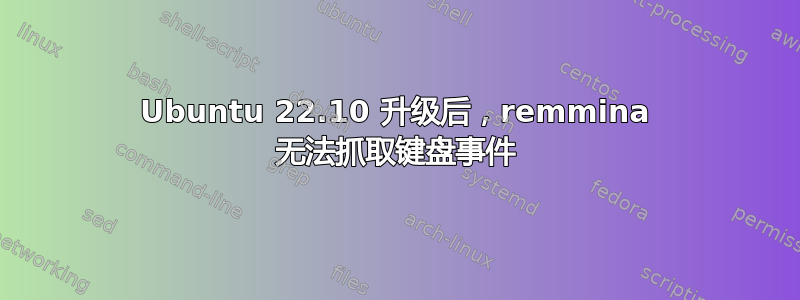 Ubuntu 22.10 升级后，remmina 无法抓取键盘事件