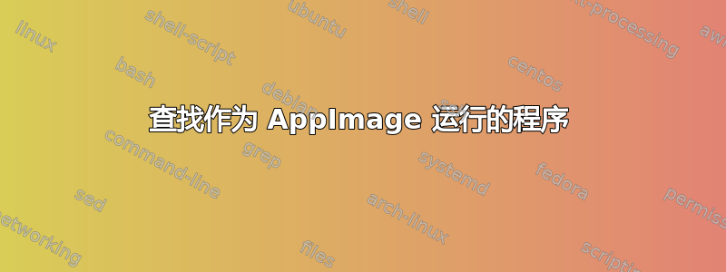 查找作为 AppImage 运行的程序