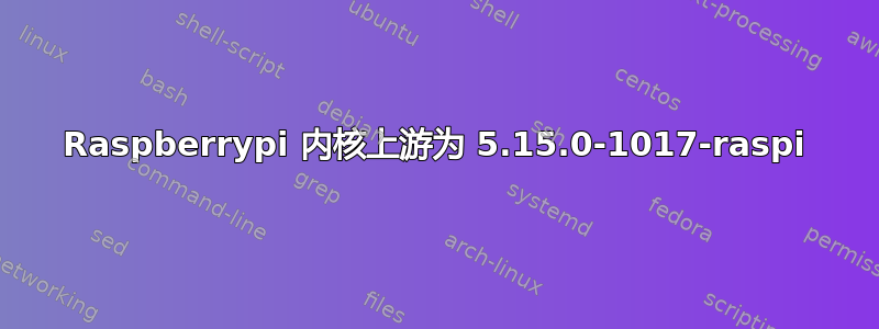 Raspberrypi 内核上游为 5.15.0-1017-raspi