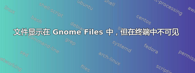 文件显示在 Gnome Files 中，但在终端中不可见