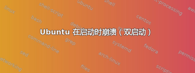 Ubuntu 在启动时崩溃（双启动）