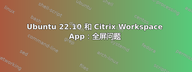 Ubuntu 22.10 和 Citrix Workspace App：全屏问题