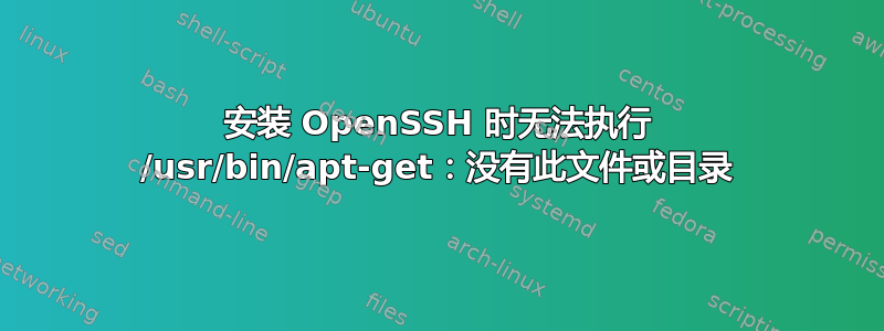 安装 OpenSSH 时无法执行 /usr/bin/apt-get：没有此文件或目录