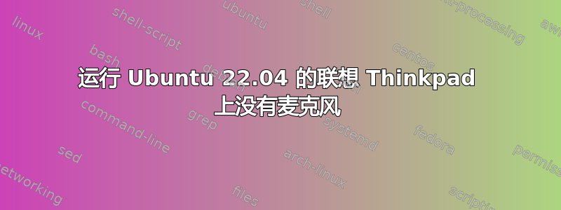 运行 Ubuntu 22.04 的联想 Thinkpad 上没有麦克风