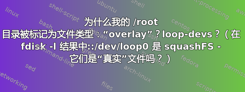 为什么我的 /root 目录被标记为文件类型：“overlay”？loop-devs？（在 fdisk -l 结果中::/dev/loop0 是 squashFS - 它们是“真实”文件吗？）