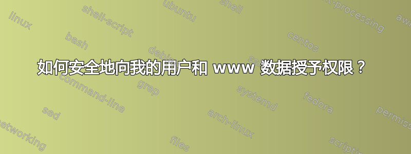 如何安全地向我的用户和 www 数据授予权限？