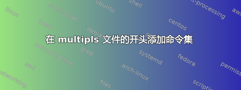 在 multipls 文件的开头添加命令集