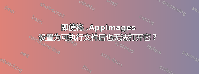 即使将 .AppImages 设置为可执行文件后也无法打开它？