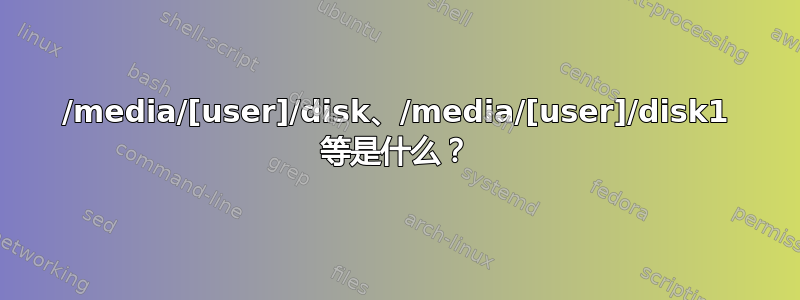 /media/[user]/disk、/media/[user]/disk1 等是什么？