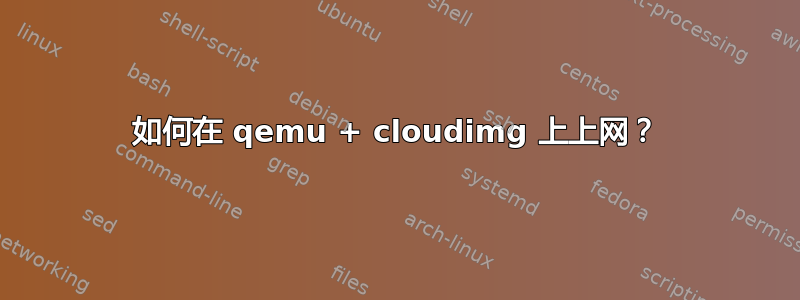 如何在 qemu + cloudimg 上上网？