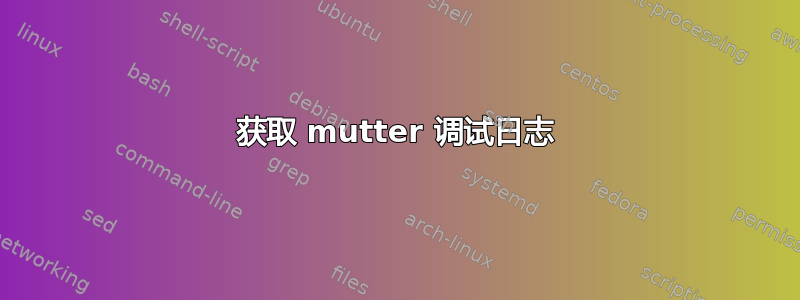 获取 mutter 调试日志