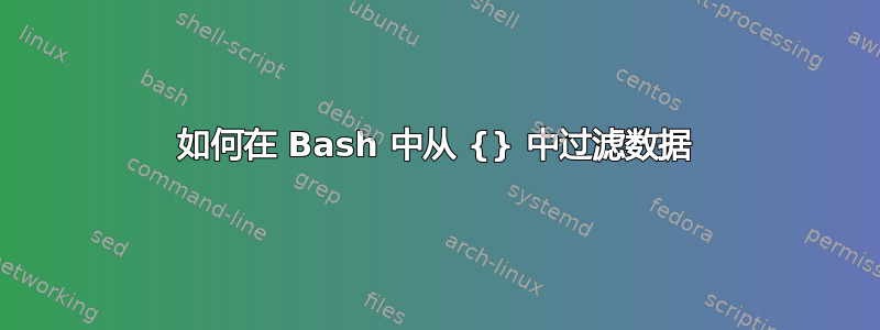 如何在 Bash 中从 {} 中过滤数据