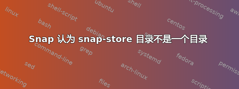 Snap 认为 snap-store 目录不是一个目录