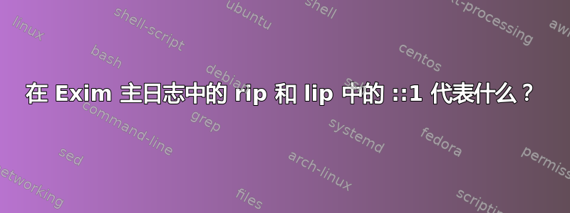 在 Exim 主日志中的 rip 和 lip 中的 ::1 代表什么？