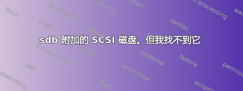 sdb 附加的 SCSI 磁盘。但我找不到它