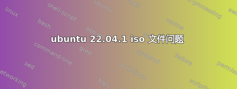 ubuntu 22.04.1 iso 文件问题