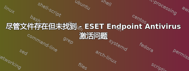 尽管文件存在但未找到 - ESET Endpoint Antivirus 激活问题