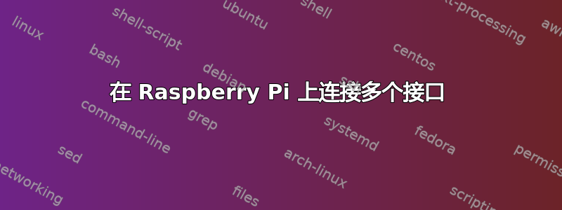 在 Raspberry Pi 上连接多个接口