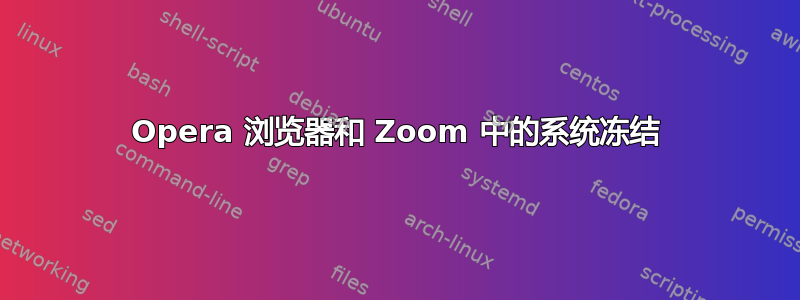 Opera 浏览器和 Zoom 中的系统冻结