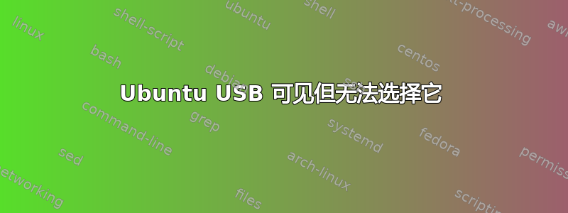 Ubuntu USB 可见但无法选择它