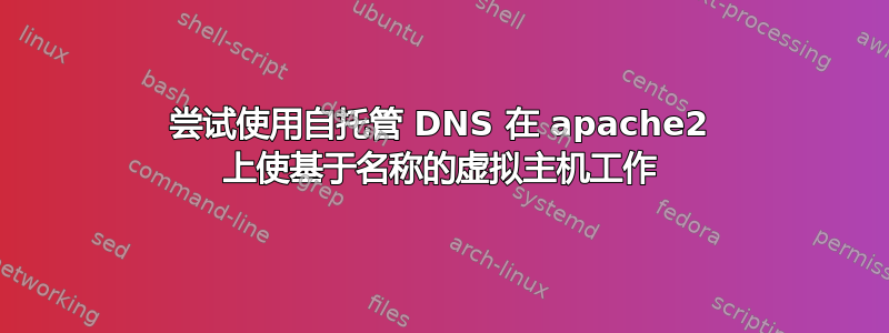 尝试使用自托管 DNS 在 apache2 上使基于名称的虚拟主机工作