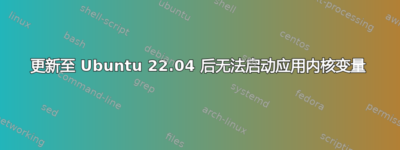 更新至 Ubuntu 22.04 后无法启动应用内核变量