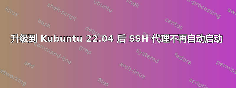 升级到 Kubuntu 22.04 后 SSH 代理不再自动启动