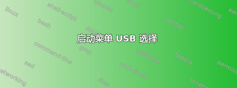 启动菜单 USB 选择