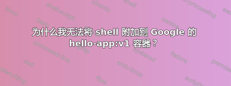 为什么我无法将 shell 附加到 Google 的 hello-app:v1 容器？