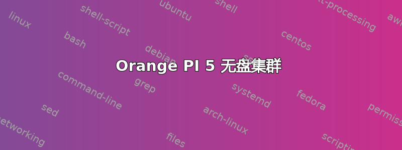 Orange PI 5 无盘集群