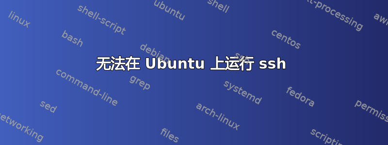 无法在 Ubuntu 上运行 ssh