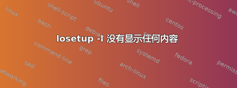 losetup -l 没有显示任何内容