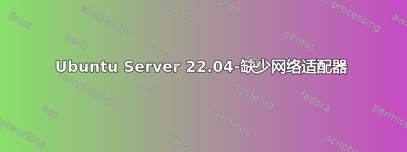 Ubuntu Server 22.04-缺少网络适配器