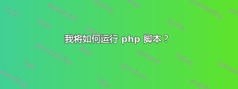 我将如何运行 php 脚本？