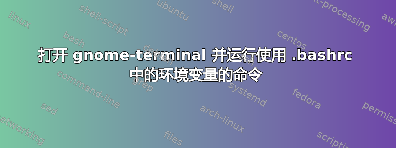 打开 gnome-terminal 并运行使用 .bashrc 中的环境变量的命令