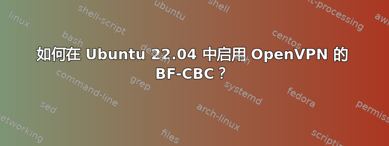 如何在 Ubuntu 22.04 中启用 OpenVPN 的 BF-CBC？