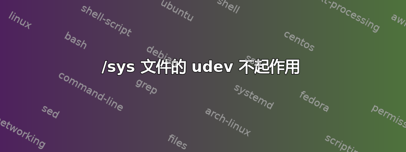 /sys 文件的 udev 不起作用